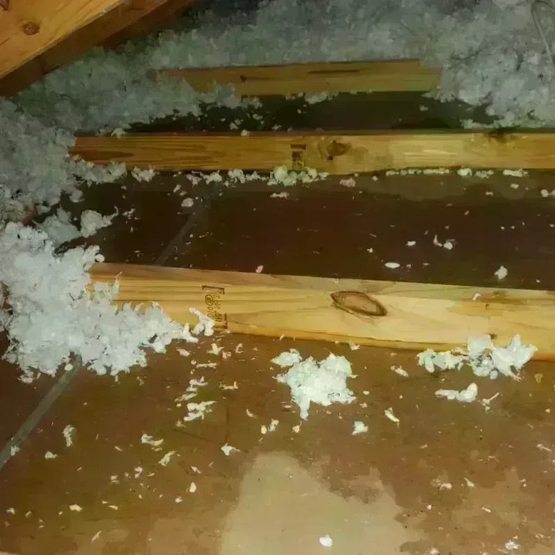 Attic Water Damage in Farmington, MS