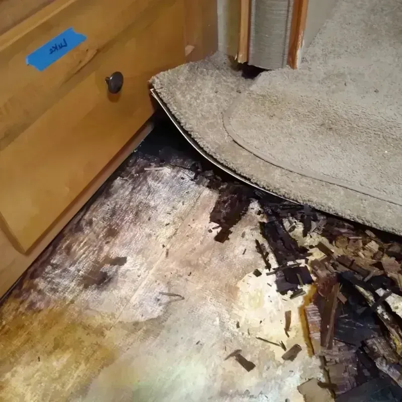 Wood Floor Water Damage in Farmington, MS